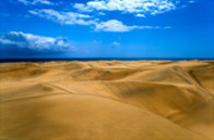 Gran Canaria, zlate sipine Maspalomas