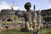 Lanzarote - jardin de cactus
