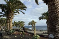 Lanzarote - Puerto del Carmen