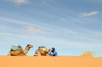 Maroko - puščava