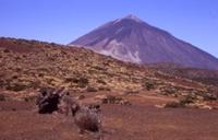 Vulkan Teide